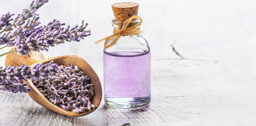 Glass Bottle Of Lavender Essential Oil With Fresh Lavender Flowe