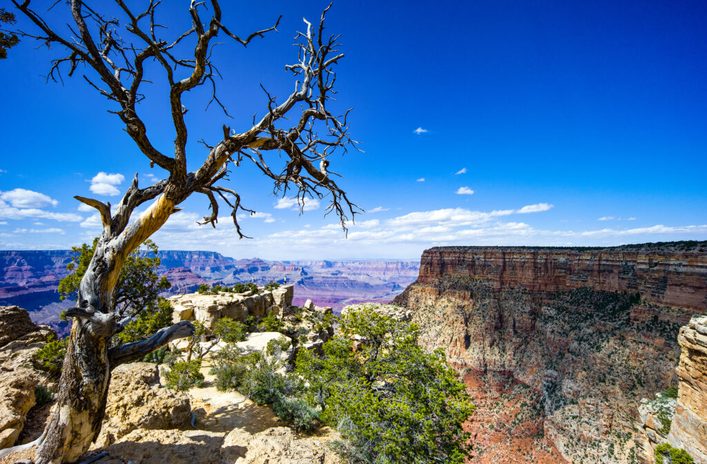 U.S.A. Arizona. the Grand Canyon South Rim.