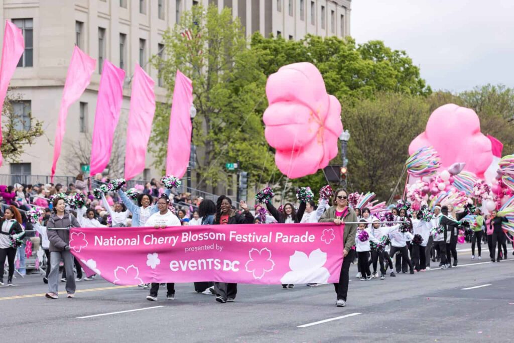 Cherry blossom parade 2
