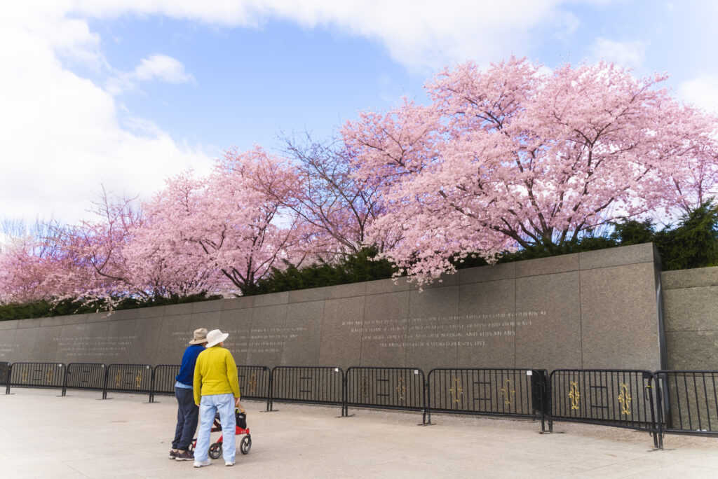 CherryBlossoms_20220323_11